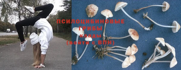 не бодяженный Волосово